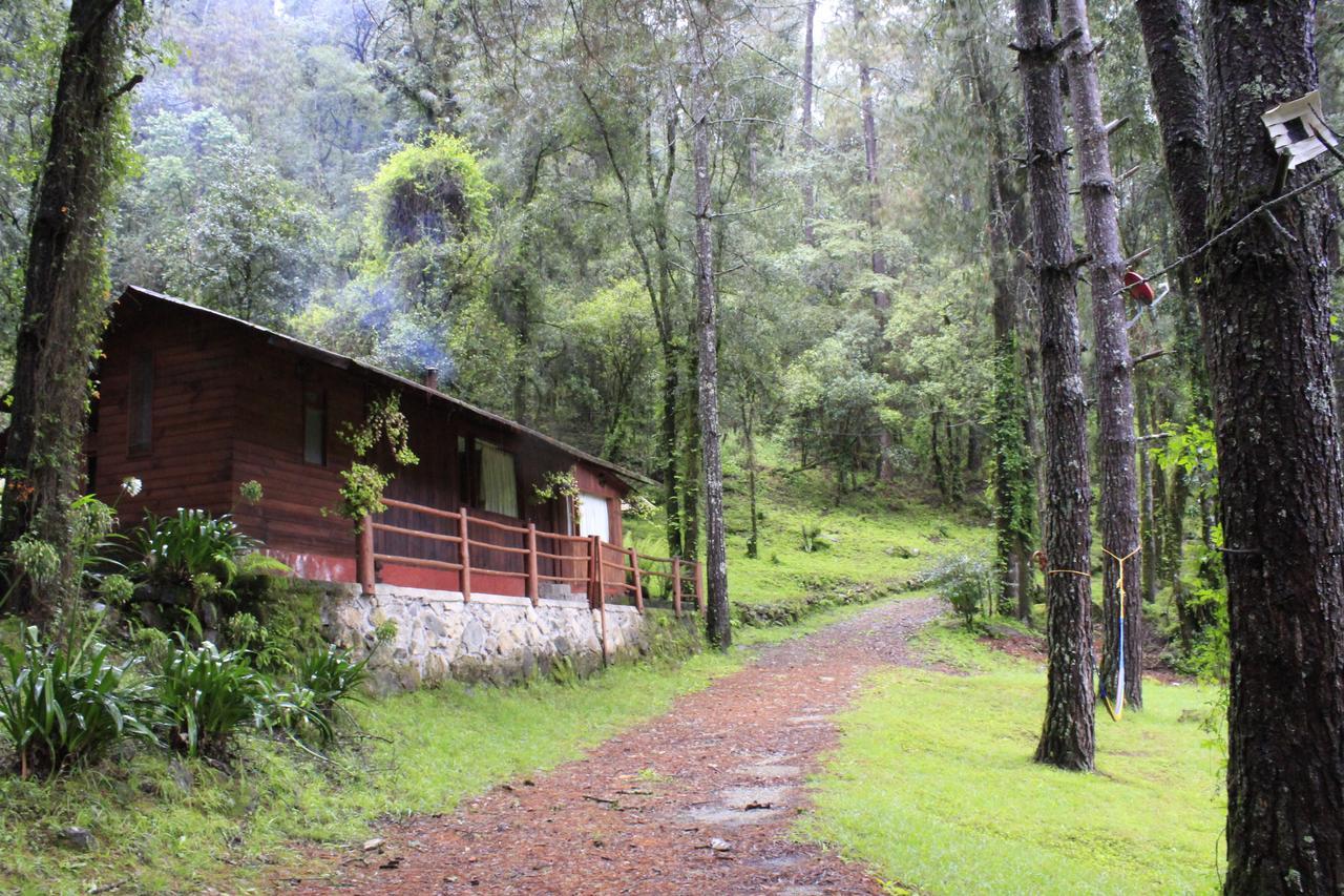 Cabanas Alpinas Lopez Fontes Valle de Bravo Eksteriør billede