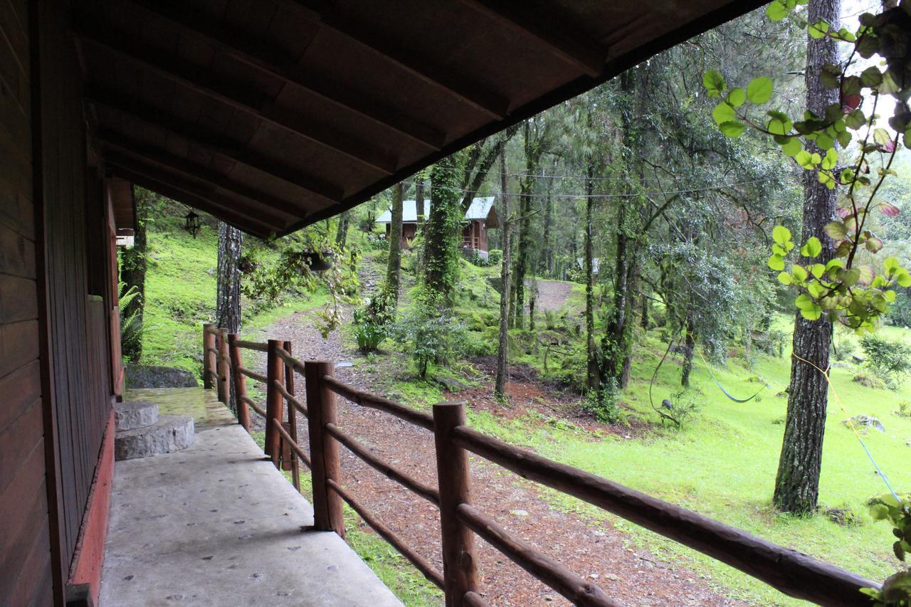 Cabanas Alpinas Lopez Fontes Valle de Bravo Eksteriør billede