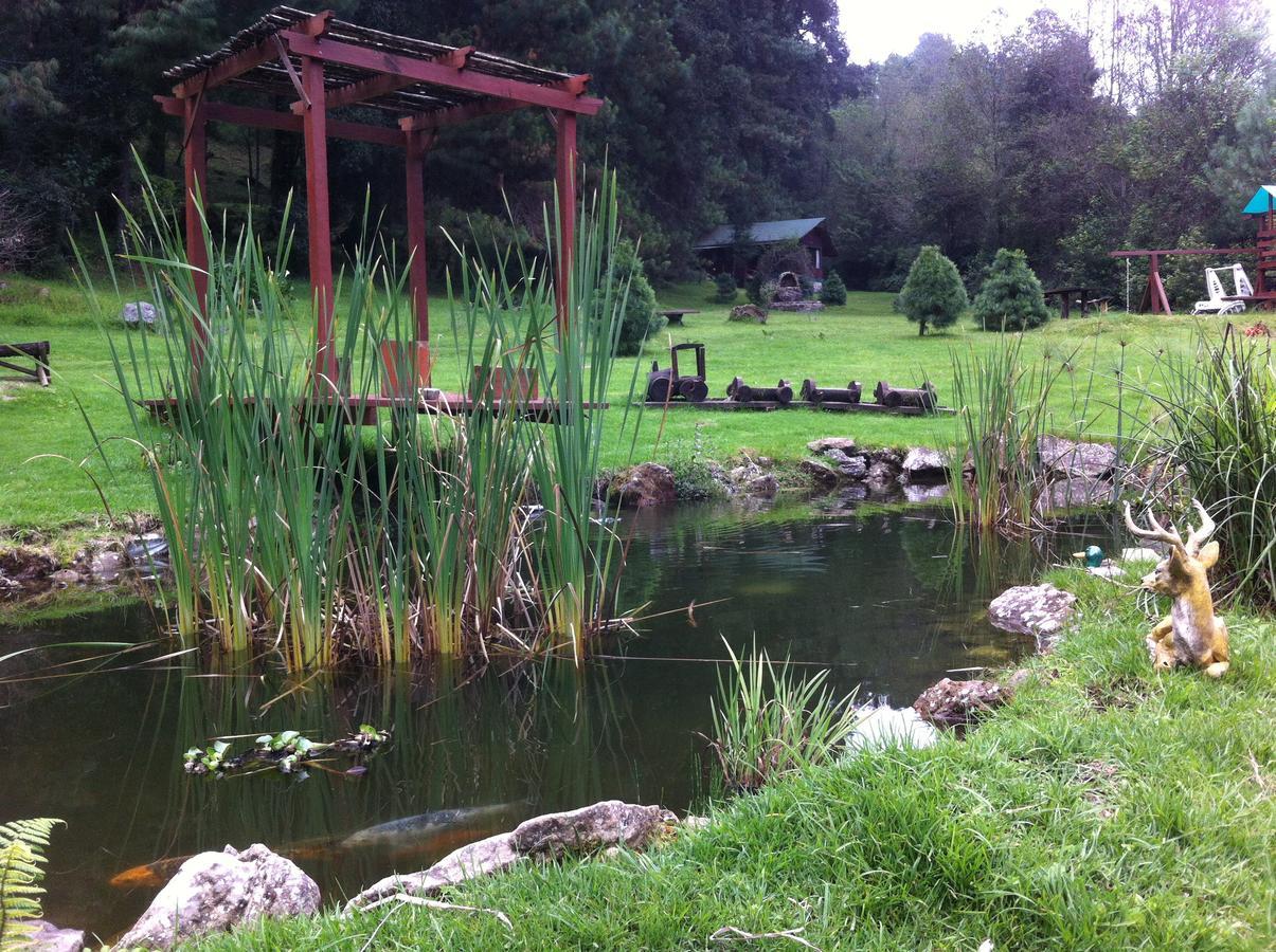 Cabanas Alpinas Lopez Fontes Valle de Bravo Eksteriør billede
