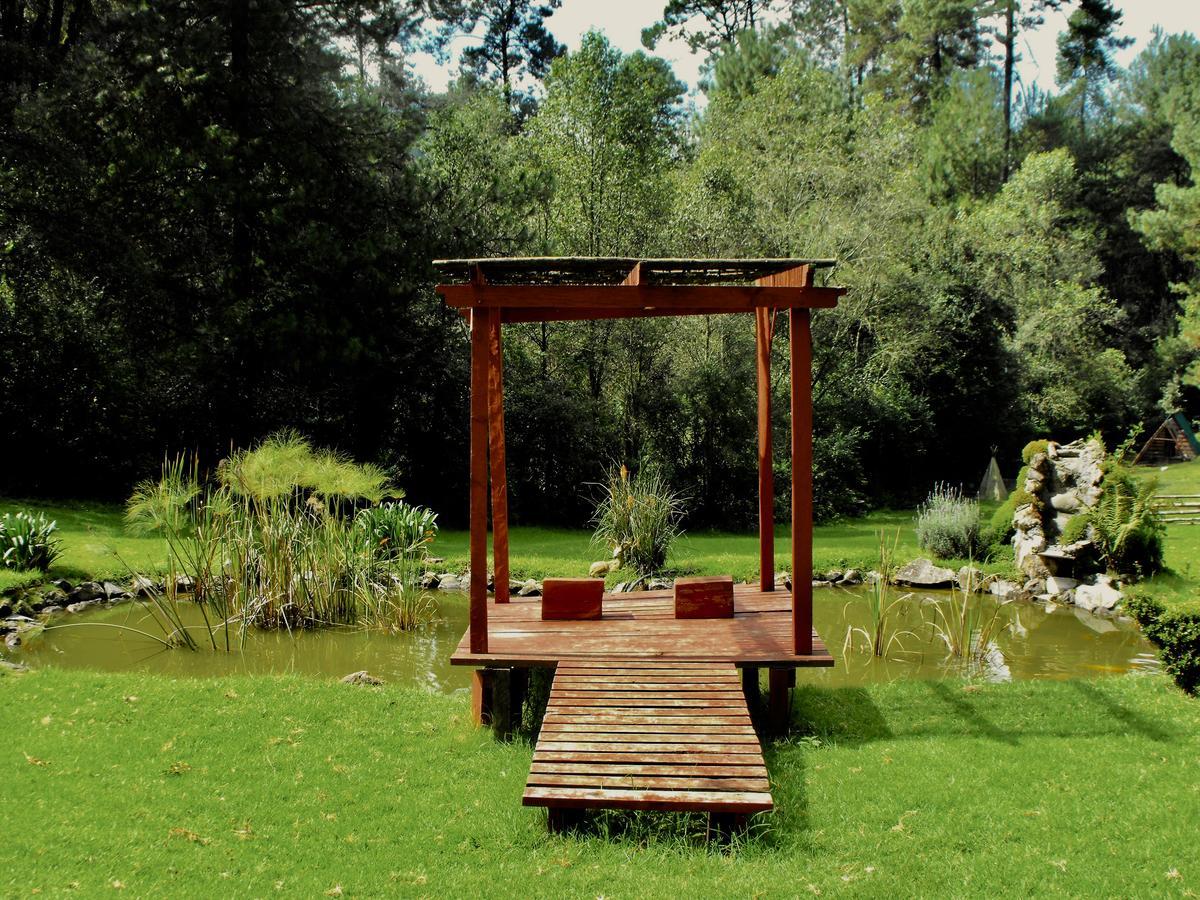 Cabanas Alpinas Lopez Fontes Valle de Bravo Eksteriør billede
