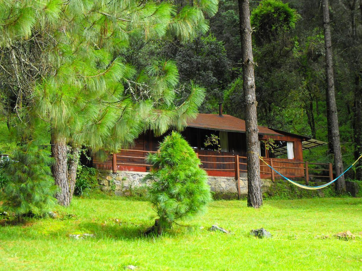 Cabanas Alpinas Lopez Fontes Valle de Bravo Eksteriør billede