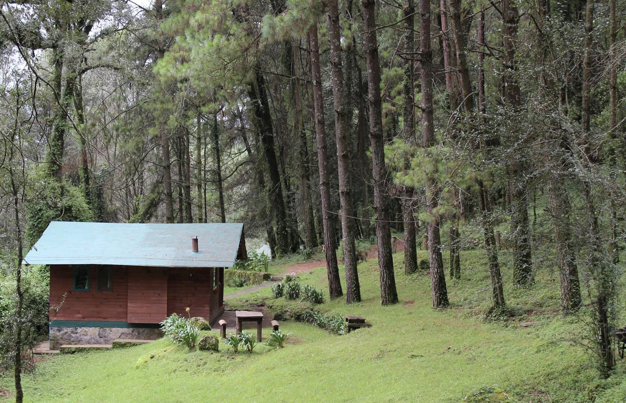 Cabanas Alpinas Lopez Fontes Valle de Bravo Eksteriør billede